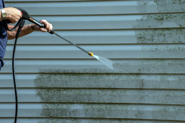 Best House Pressure Washing  in Howard Lake, MN