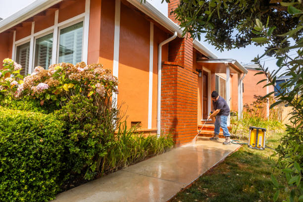 Best Exterior Home Cleaning  in Howard Lake, MN